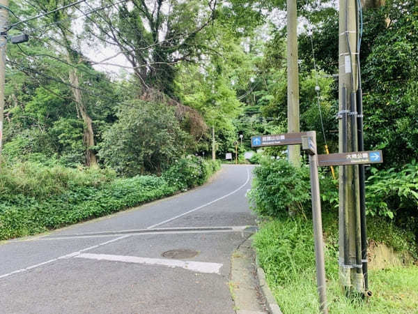 【逗子】披露山公園の魅力を地元ライターが写真付きで紹介～動物たちとも会える自然豊かな場所～