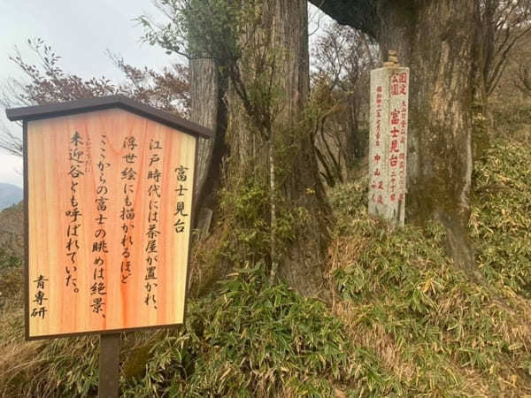 都内からの日帰り登山にも！ケーブルカー無しで楽しむ大山登山のベストコース【神奈川】