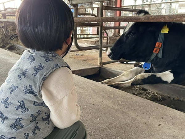 入場無料！埼玉県・上尾市にある【榎本牧場】で牛さん達に癒されよう♪