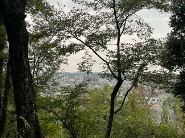 子供と一緒にお散歩気分で巡れる！3つの山を有する「都立浅間山公園」へ【府中市】