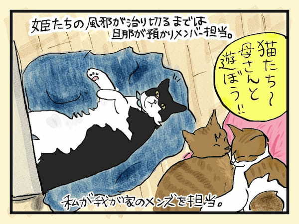 ＜猫漫画2＞我が家の“姫たち”こと猫姉妹、ケンカが豪快すぎて笑っちゃうよ