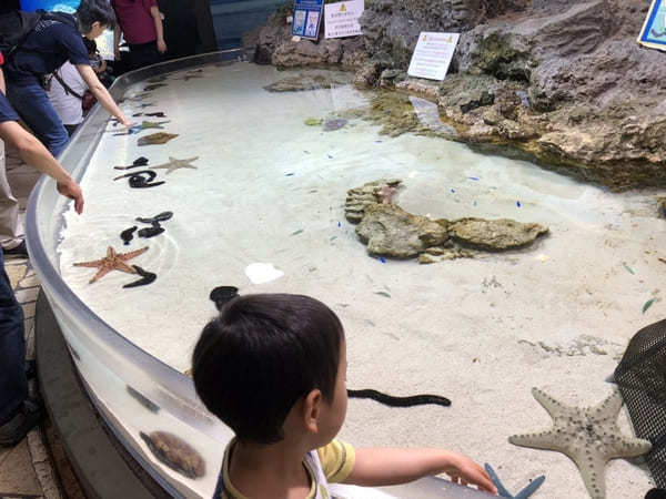 “美ら海の図鑑”ができちゃう！「沖縄美ら海水族館」