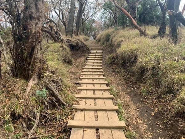 都内からの日帰り登山にも！ケーブルカー無しで楽しむ大山登山のベストコース【神奈川】