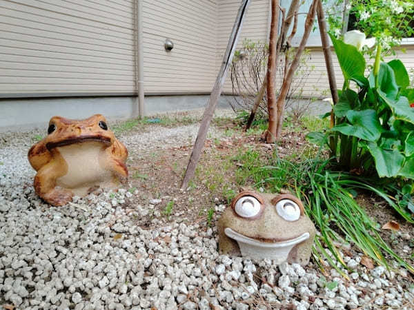 毎月御朱印が変わる！カエルが守る【名古屋 富部神社】