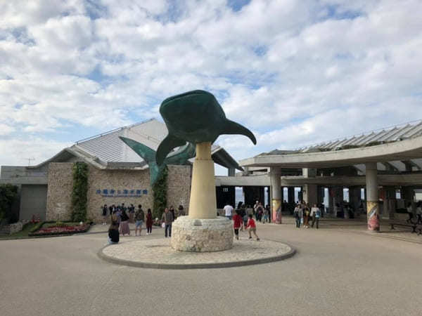 沖縄美ら海水族館だけじゃない！海洋博公園5つの見どころ徹底ガイド