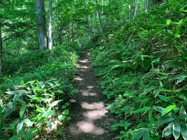 地熱の高さゆえの独特な自然を満喫！和琴半島の見どころ紹介【北海道】