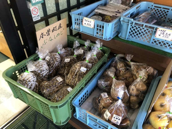 【道の駅 日義木曽駒高原 ささりんどう館】季節を感じる木曽の美味しいモンがいっぱい！（長野）