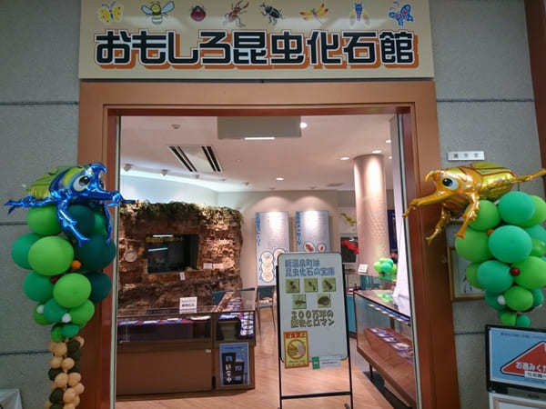 日本初の昆虫化石博物館【兵庫県】おもしろ昆虫化石館の見どころ紹介