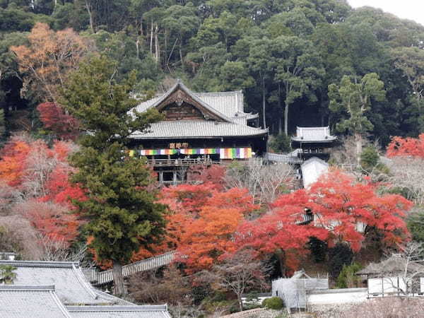 電車やバスで行く奈良のおすすめ紅葉スポット6選