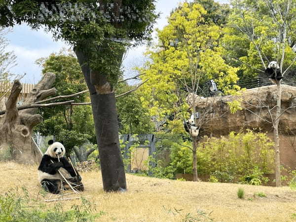 関東の人気動物園TOP16！みんなが行っている動物園ランキング1.jpg