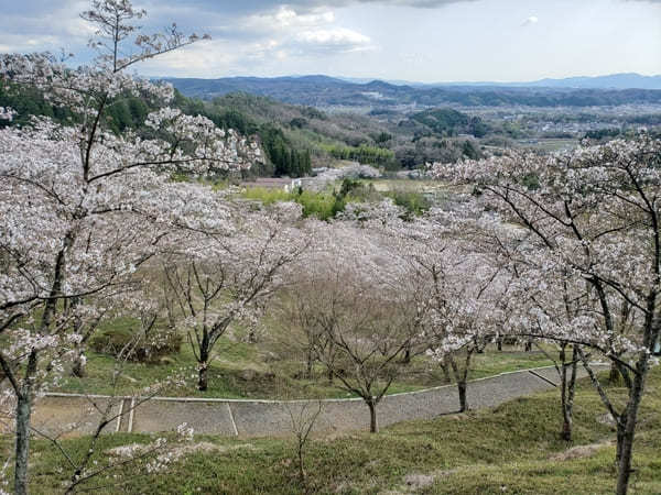 戦国武将ゆかりの地【岐阜県可児市】で歴史と花のスポット巡り！