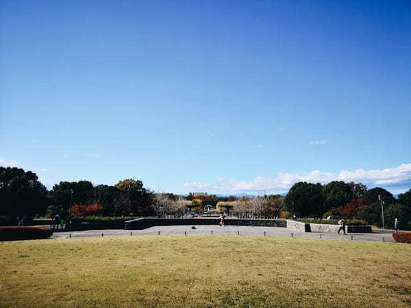 【東京】週末はアウトドアを楽しもう！子連れにおすすめの大型公園10選