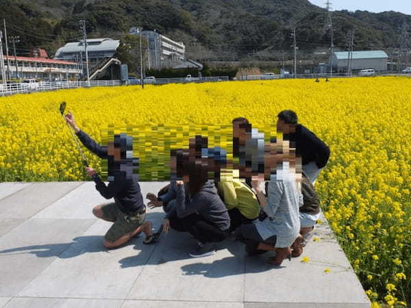 春一番乗り！南伊豆・日野の菜の花畑【静岡】1.jpg