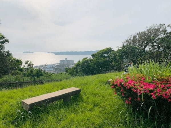 【逗子】大崎公園の魅力を地元ライターが写真付きで紹介～のどかな自然が魅力～1.jpg