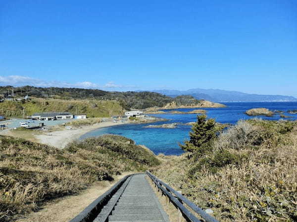 青い海と灯台と水仙のある景勝地！静岡県・下田の【爪木崎】1.jpg