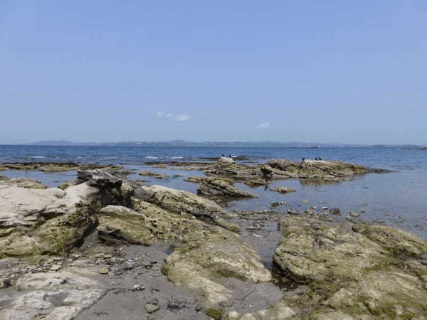 手ぶらでラクラク日帰りサイクリング！房総半島南端の街・館山で楽しむ海の絶景1.jpg