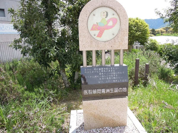 【和歌山】道の駅青洲の里で、外科医「華岡青洲」について知ろう