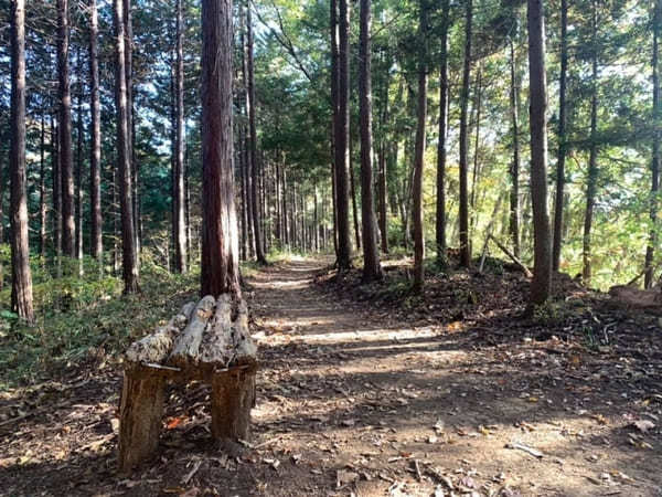 難易度順！東京のオススメ登山コース10選～低山から都内最高峰まで～