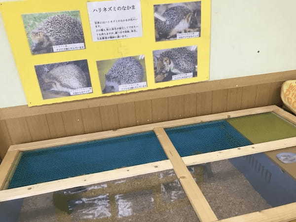 【都内近郊】無料の子供遊び場！動物とも触れ合える「浦安市交通公園」がおすすめ1.jpg