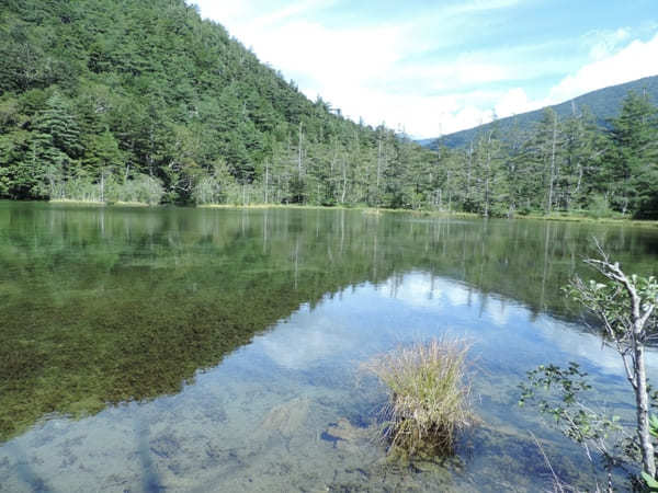 【上高地】美しい自然を大満喫！「かっぱ橋」から「明神池」を散策！