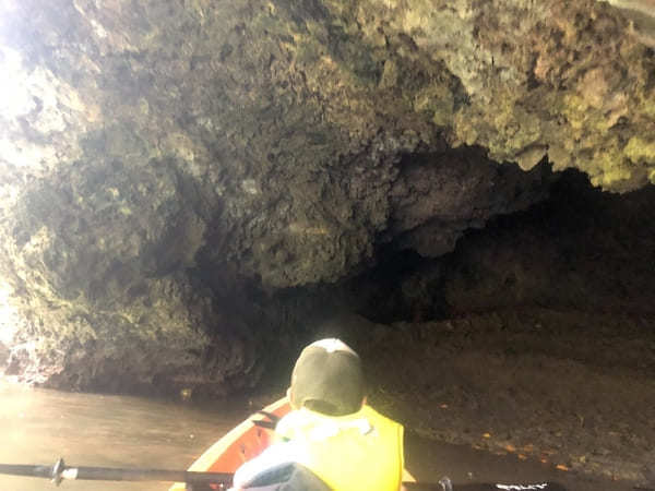  【やまんぐぅ〜】のカヤックツアーで「宮良川のヒルギ林」を冒険！（石垣島）