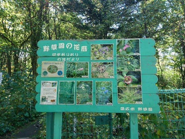 美術館も博物館も動物園も！【北海道・帯広】緑ヶ丘公園の見どころ紹介