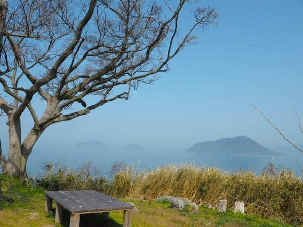 【香川】絶景と圧巻の巨樹！樹齢1,200年の大楠に会いに志々島へ！