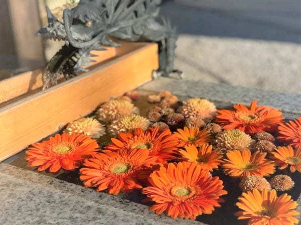 花手水が美しい全国のおすすめ神社・お寺8選！