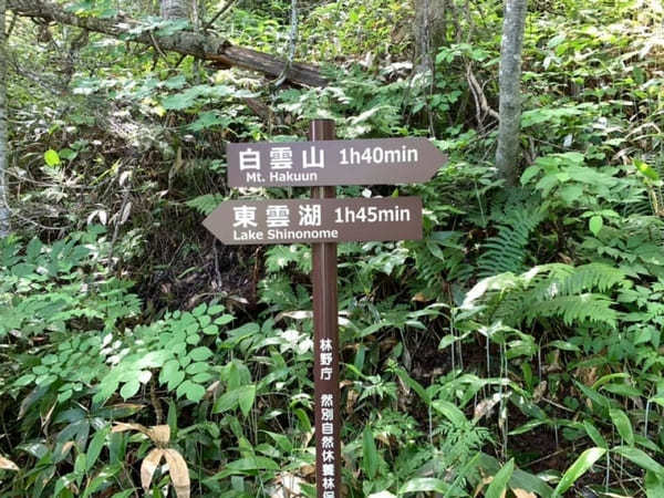 【北海道】然別湖の自然を大満喫！白雲山・天望山・東雲湖をぐるっと1周♪