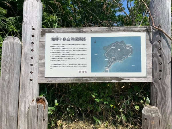 地熱の高さゆえの独特な自然を満喫！和琴半島の見どころ紹介【北海道】