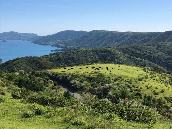 【島根】隠岐の島観光モデルコース！隠岐の島町と西ノ島町を上手に巡る！よくばり1泊2日プラン