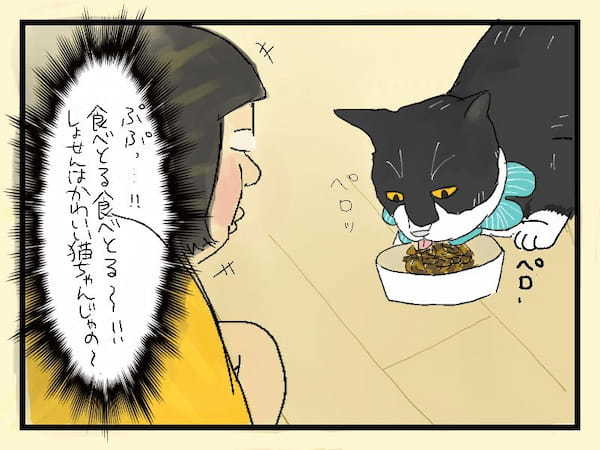 ＜猫漫画＞うちのグルメ猫様、お口に合わない時の反応が…「こんな旦那だったらイヤ！」