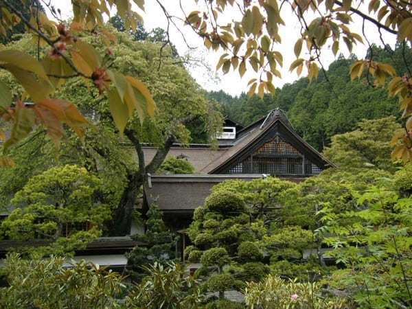 【高野山】幻想的な体験！普賢院の宿坊と恵光院のナイトツアー