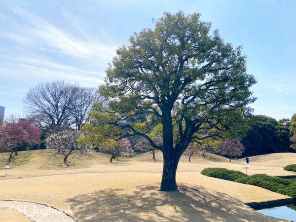 【東京・赤坂】豪華絢爛！おもてなしの館、赤坂迎賓館