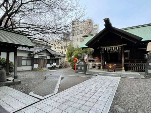 早春の都内で一番美しい神社？ミモザと早咲き桜が彩る蔵前神社へ【台東区】