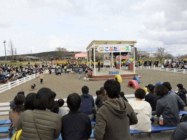 【千葉】都内から日帰りOK「マザー牧場」完全ガイド！遊園地やグランピングも◎1.jpg