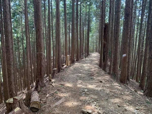 難易度順！東京のオススメ登山コース10選～低山から都内最高峰まで～