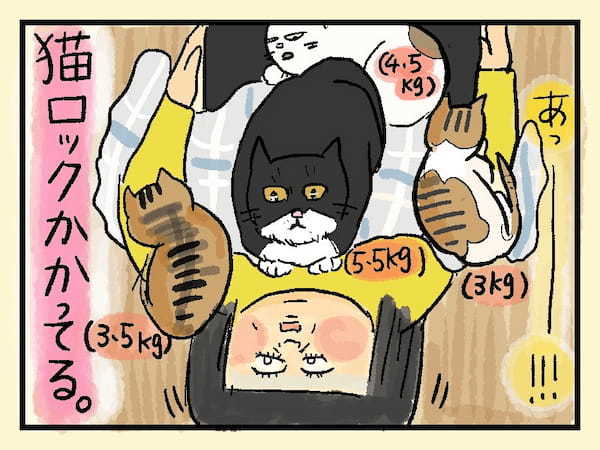 ＜猫漫画1＞かなしばり?!と思ったら…猫好きにはたまらん“うはうは状態”だった