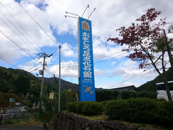 日本初の昆虫化石博物館【兵庫県】おもしろ昆虫化石館の見どころ紹介