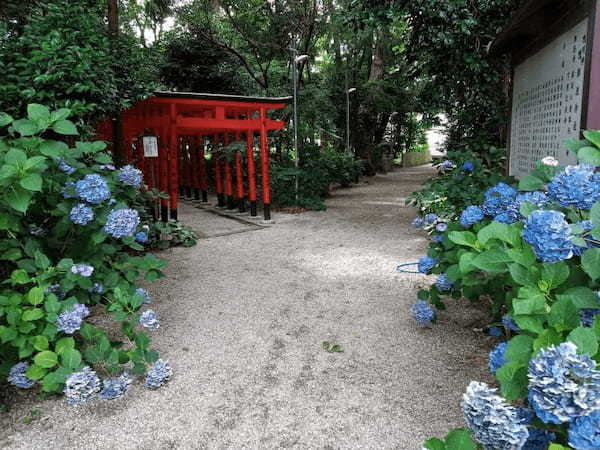 【奈良】御所市のあじさいが咲くスポットを巡ろう1.jpg