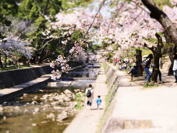 保育園に入園式はあるの？ 何時から何時まで？ 出席の際の服装は？