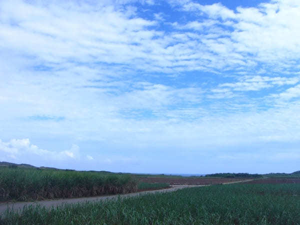 岬へ！海へ！島へ！南国「宮古」で絶景ドライブ旅！！