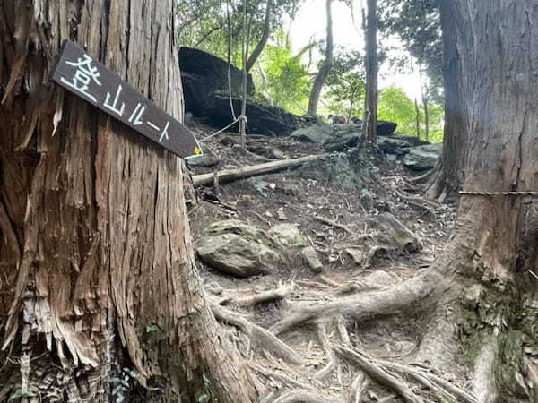 都内から日帰りOK！登山初心者にもオススメな絶景の宝篋山へ【茨城】1.jpg