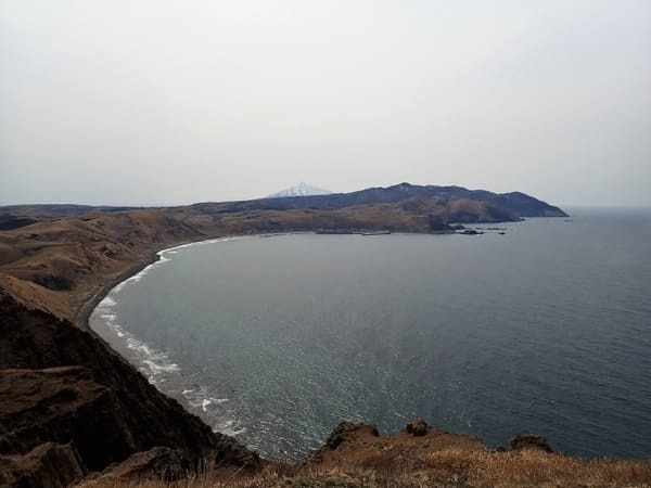 【北海道】日本最北端の離島、礼文島1日周遊プラン！