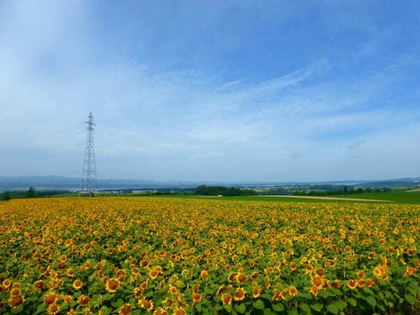 【北海道】美瑛だけじゃない！道東で感じる丘の絶景