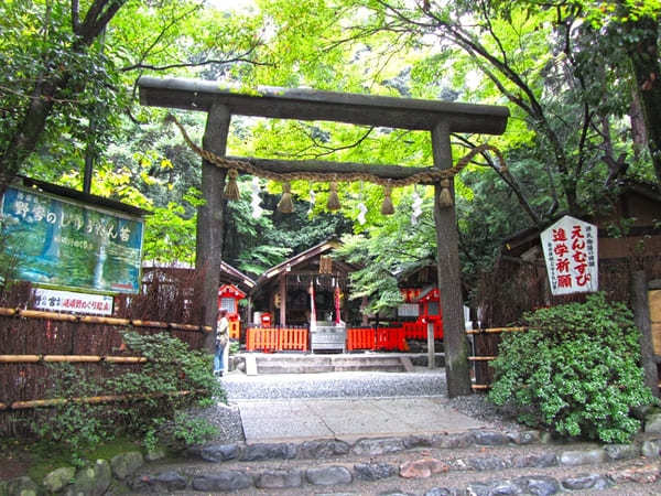 京都でおすすめの寺・神社49選！観光客に人気＆世界遺産の寺社リスト