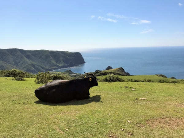 【島根】隠岐の島観光モデルコース！隠岐の島町と西ノ島町を上手に巡る！よくばり1泊2日プラン