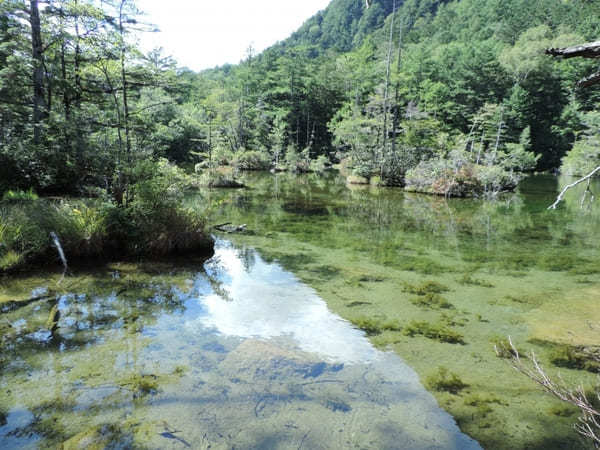 【上高地】美しい自然を大満喫！「かっぱ橋」から「明神池」を散策！