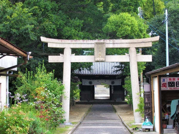 【香川】ケーブルカーで行く五剣山、八十五番札所「八栗寺」の魅力！