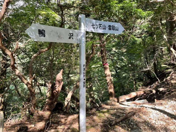 東京都最高峰【雲取山】を日帰りで楽しむための注意点＆ポイント紹介